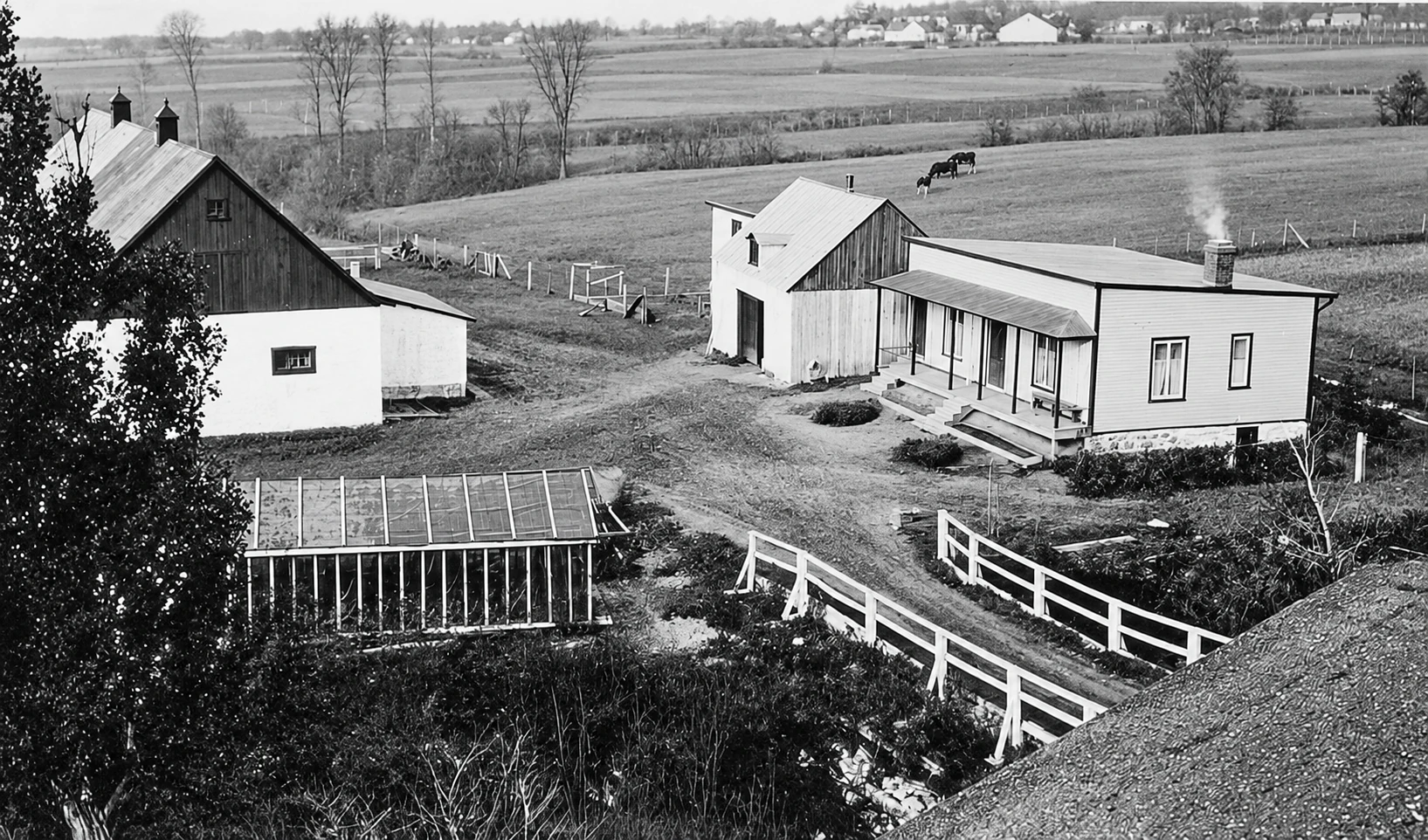 La ferme